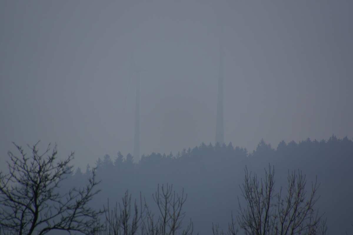 WIA VB WDSC02061.jpg